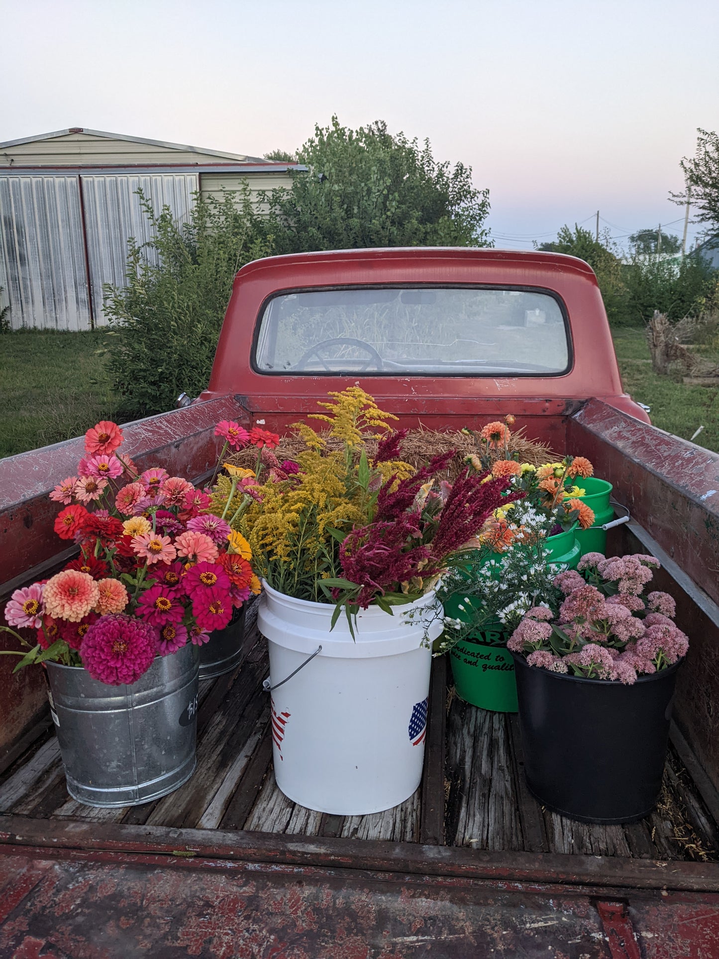 Bucket of Mix Fresh Cut Flowers (50 stems)